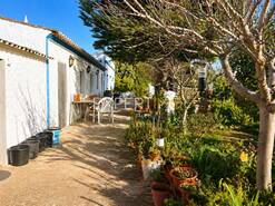 Outros T4 - Santa Catarina da Fonte do Bispo, Tavira, Faro (Algarve) - Miniatura: 29/29