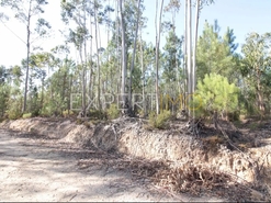 Terreno R�stico - Matas, Our�m, Santar�m - Miniatura: 1/4