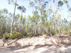 Terreno R�stico - Matas, Our�m, Santar�m - Miniatura: 3/4
