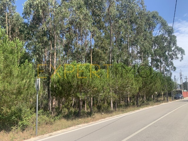 Terreno Industrial - Marrazes, Leiria, Leiria - Imagem grande