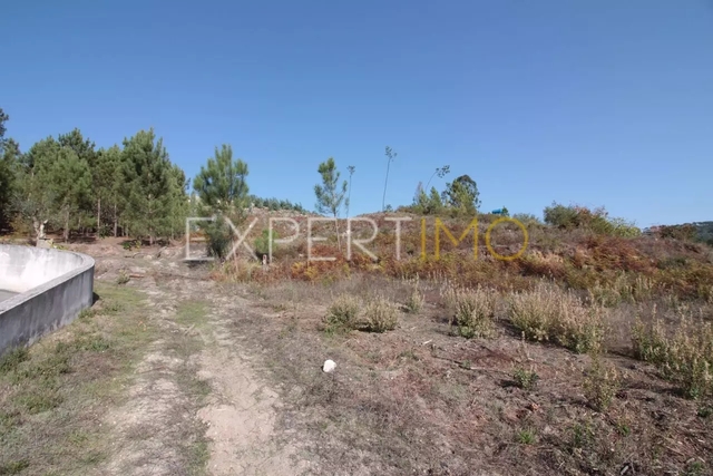 Terreno R�stico - Gondemaria, Our�m, Santar�m - Imagem grande