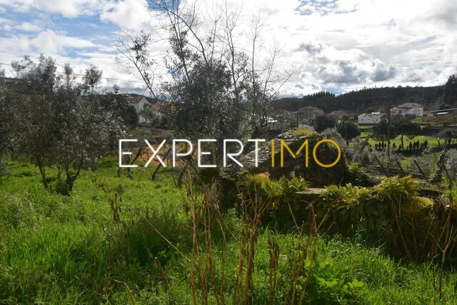 Moradia T0 - Figueir� dos Vinhos, Figueir� dos Vinhos, Leiria - Imagem grande