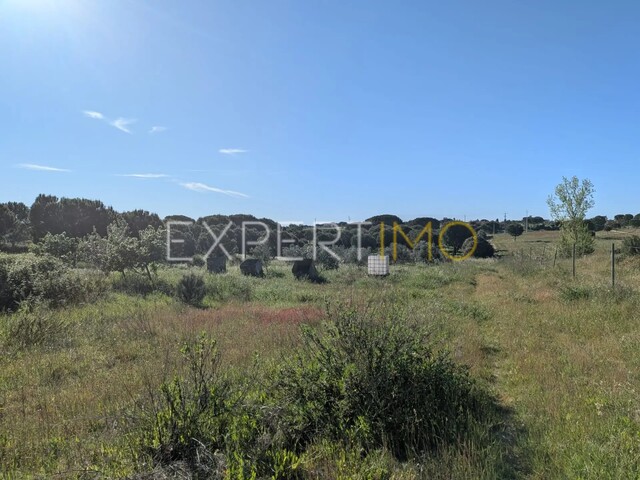 Terreno R�stico - Vendas Novas, Vendas Novas, �vora - Imagem grande