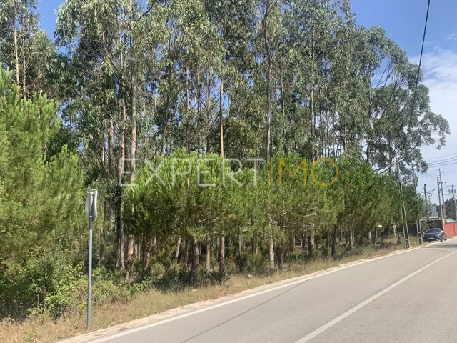 Terreno R�stico - Barosa, Leiria, Leiria - Imagem grande