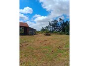 Terreno Rstico - Guia, Pombal, Leiria - Miniatura: 2/9
