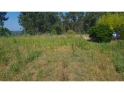 Terreno Rstico - Guia, Pombal, Leiria - Miniatura: 4/9
