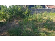 Terreno Rstico - Guia, Pombal, Leiria - Miniatura: 6/9