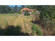 Terreno Rstico - Guia, Pombal, Leiria - Miniatura: 7/9