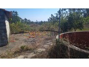 Terreno Rstico - Guia, Pombal, Leiria - Miniatura: 8/9