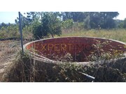 Terreno Rstico - Guia, Pombal, Leiria - Miniatura: 9/9