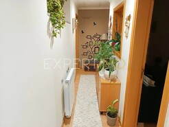 Moradia T3 - N�o Definido, N�o Definido, N�o Definido - Miniatura: 1/19