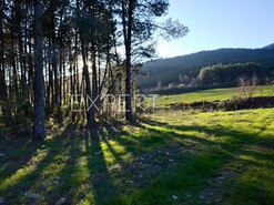 Terreno R�stico - N�o Definido, N�o Definido, N�o Definido - Miniatura: 6/29