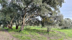 Terreno R�stico - N�o Definido, N�o Definido, N�o Definido - Miniatura: 6/24