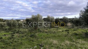 Terreno R�stico - N�o Definido, N�o Definido, N�o Definido - Miniatura: 10/24