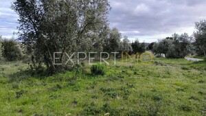 Terreno R�stico - N�o Definido, N�o Definido, N�o Definido - Miniatura: 13/24