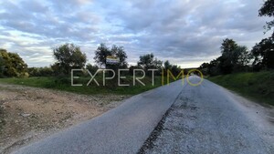 Terreno R�stico - N�o Definido, N�o Definido, N�o Definido - Miniatura: 18/24