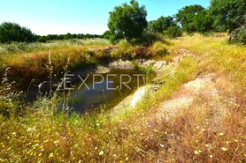 Terreno R�stico - N�o Definido, N�o Definido, N�o Definido - Miniatura: 4/13