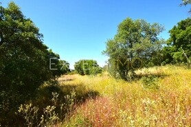 Terreno R�stico - N�o Definido, N�o Definido, N�o Definido - Miniatura: 5/13