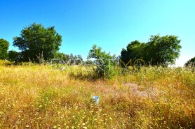 Terreno R�stico - N�o Definido, N�o Definido, N�o Definido - Miniatura: 10/13