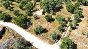 Terreno R�stico - N�o Definido, N�o Definido, N�o Definido - Miniatura: 11/13