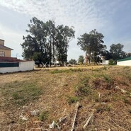 Terreno R�stico - N�o Definido, N�o Definido, N�o Definido - Miniatura: 3/7