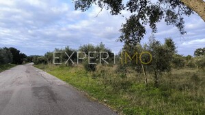 Terreno R�stico - N�o Definido, N�o Definido, N�o Definido - Miniatura: 4/24