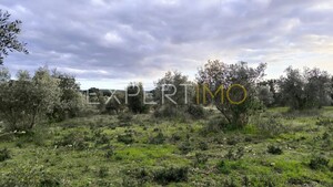 Terreno R�stico - N�o Definido, N�o Definido, N�o Definido - Miniatura: 8/24