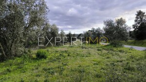 Terreno R�stico - N�o Definido, N�o Definido, N�o Definido - Miniatura: 12/24