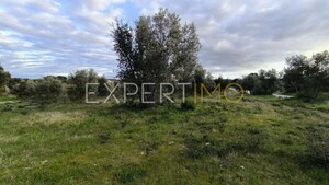 Terreno R�stico - N�o Definido, N�o Definido, N�o Definido - Miniatura: 14/24