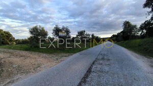 Terreno R�stico - N�o Definido, N�o Definido, N�o Definido - Miniatura: 19/24