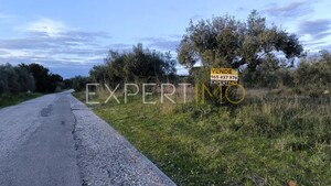 Terreno R�stico - N�o Definido, N�o Definido, N�o Definido - Miniatura: 23/24