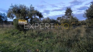 Terreno R�stico - N�o Definido, N�o Definido, N�o Definido - Miniatura: 24/24