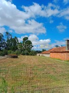 Terreno R�stico - N�o Definido, N�o Definido, N�o Definido - Miniatura: 2/13