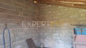 Terreno R�stico - N�o Definido, N�o Definido, N�o Definido - Miniatura: 10/13