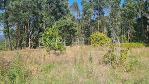 Terreno R�stico - N�o Definido, N�o Definido, N�o Definido - Miniatura: 13/13