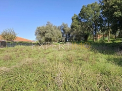 Terreno R�stico - N�o Definido, N�o Definido, N�o Definido - Miniatura: 6/24