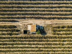 Terreno R�stico - Palmela, Palmela, Set�bal - Miniatura: 1/12