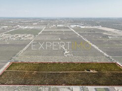 Terreno R�stico - Palmela, Palmela, Set�bal - Miniatura: 7/12