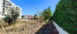 Terreno R�stico - S�, Bragan�a, Bragan�a - Miniatura: 4/5