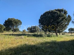 Terreno R�stico - Vendas Novas, Vendas Novas, �vora - Miniatura: 1/8