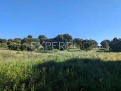 Terreno R�stico - Vendas Novas, Vendas Novas, �vora - Miniatura: 3/8