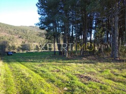 Terreno R�stico - Valhelhas, Guarda, Guarda - Miniatura: 2/29