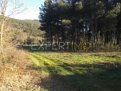Terreno R�stico - Valhelhas, Guarda, Guarda - Miniatura: 11/29