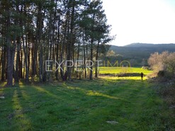 Terreno R�stico - Valhelhas, Guarda, Guarda - Miniatura: 13/29