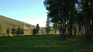 Terreno R�stico - Valhelhas, Guarda, Guarda - Miniatura: 19/29