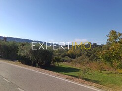 Terreno R�stico - Vila C�, Pombal, Leiria - Miniatura: 8/11