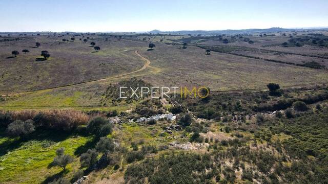 Terreno R�stico - Santa Cruz, Almod�var, Beja - Imagem grande