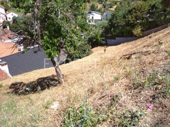 Terreno R�stico - N�o Definido, N�o Definido, N�o Definido - Miniatura: 7/13