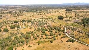 Terreno R�stico - N�o Definido, N�o Definido, N�o Definido - Miniatura: 1/13