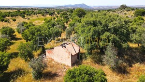 Terreno R�stico - N�o Definido, N�o Definido, N�o Definido - Miniatura: 2/13